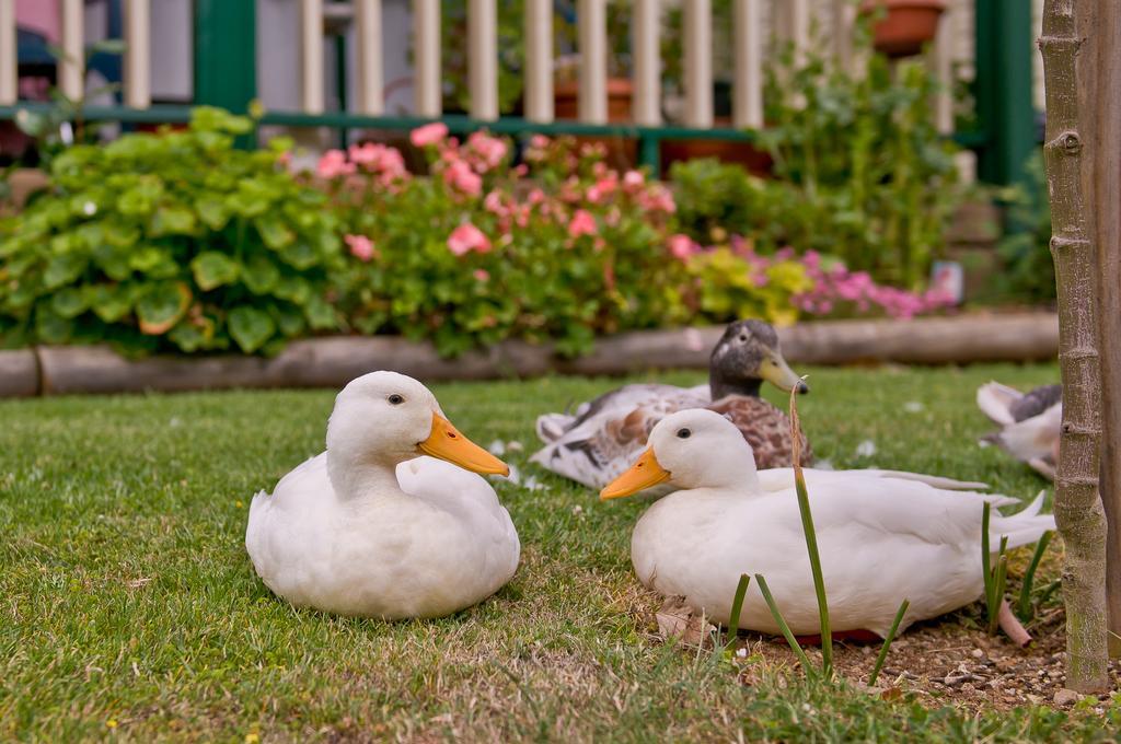 Warragul Gardens Holiday Park Bagian luar foto